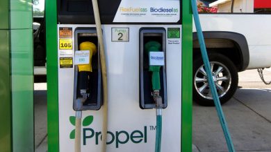 New-and-unexpected-ways-biofuel-could-leave-its-mark-on-the-energy-market-biodiesel