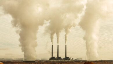 Romania-One-Step-Closer-to-CJEU-Due-to-Coal-fired-Power-Plants