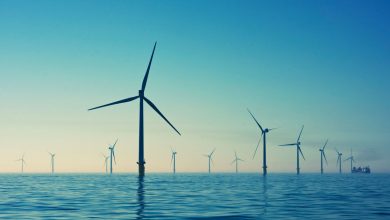 TotalEnergies-and-European-Energy-to-Develop-3-Nordic-Offshore-Wind-Projects