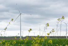 EBRD-Supports-Renewable-Investments-in-Romania