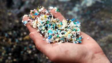 Microplastic-The-Invisible-Enemy