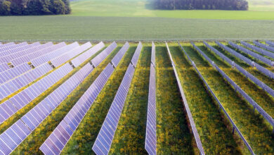 BlueWave-Solar-to-Sale-Innovative-Maine-Agrivoltaic-Solar-Project-to-Navisun