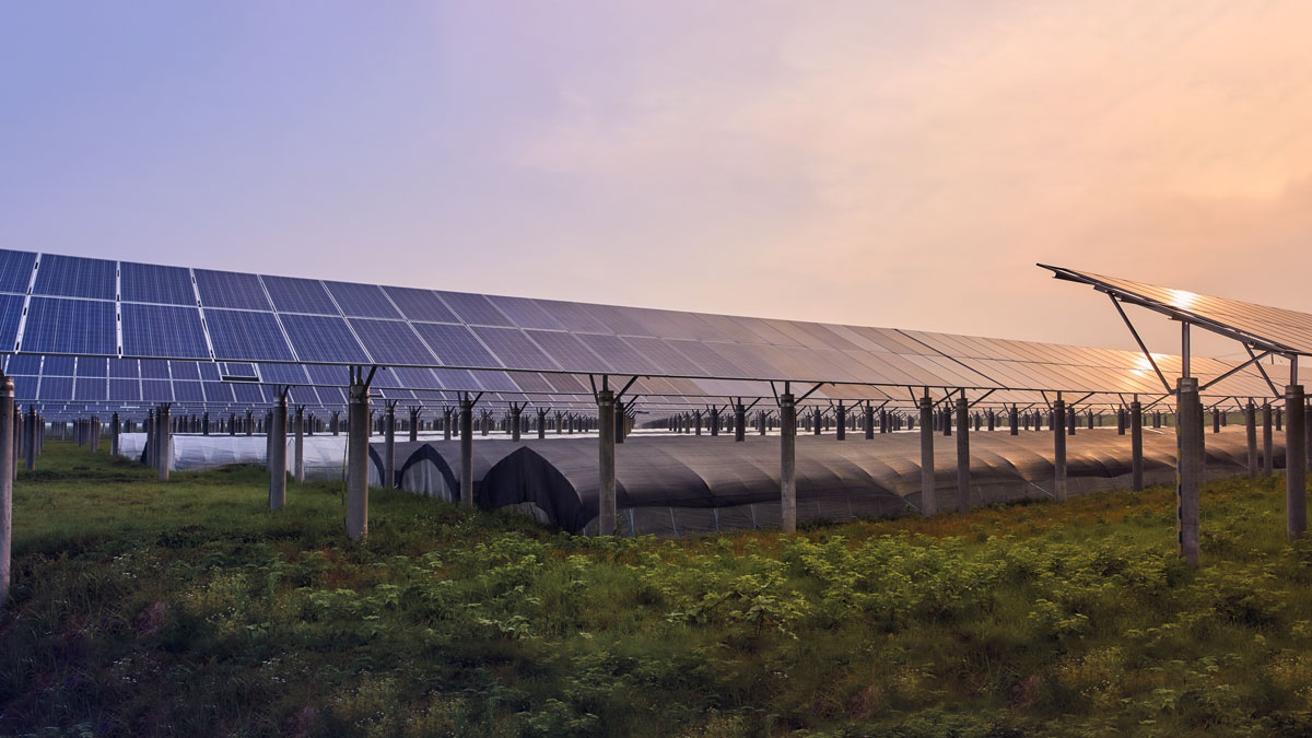 Agrivoltaic-Systems-A-Promising-Experience