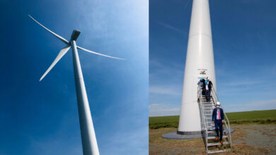 Crucea-Wind-Farm-First-Successful-MandA-Achieved-by-Romanian-State-Company