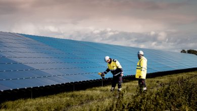 Encavis-Acquires-5-Solar-Parks-in-the-Netherlands-from-Statkraft