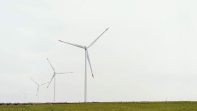 Europes-Bet-on-Renewable-Energy