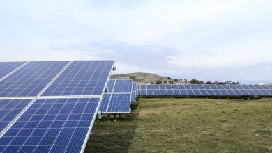 PNE-Sells-280-MWp-of-Photovoltaic-Projects-in-Romania-and-USA