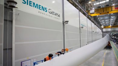 Siemens-Gamesa-Pecineaga-wind-project