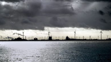 French Measure to Support Offshore Wind Energy Generation