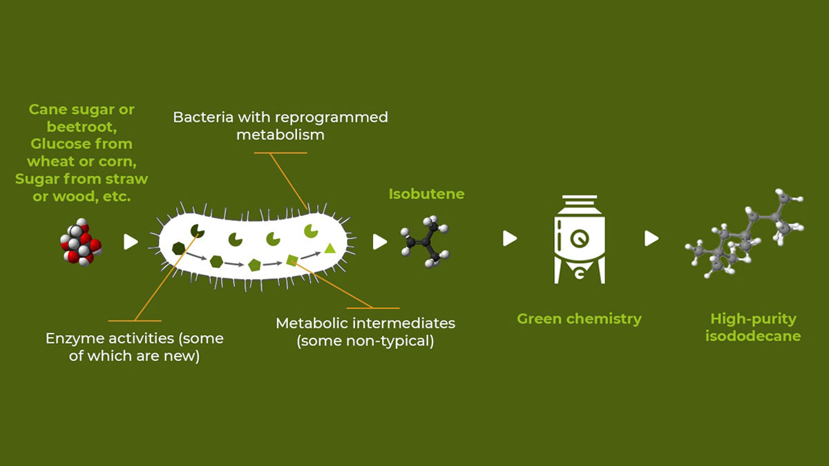Waste-eating-Bacteria