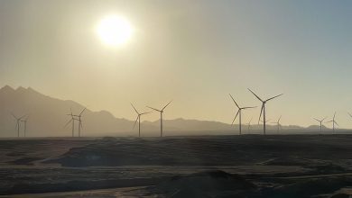 Biggest-Wind-Farm-in-the-Middle-East-North-Africa-to-Power-up-to-1-Mn-Homes