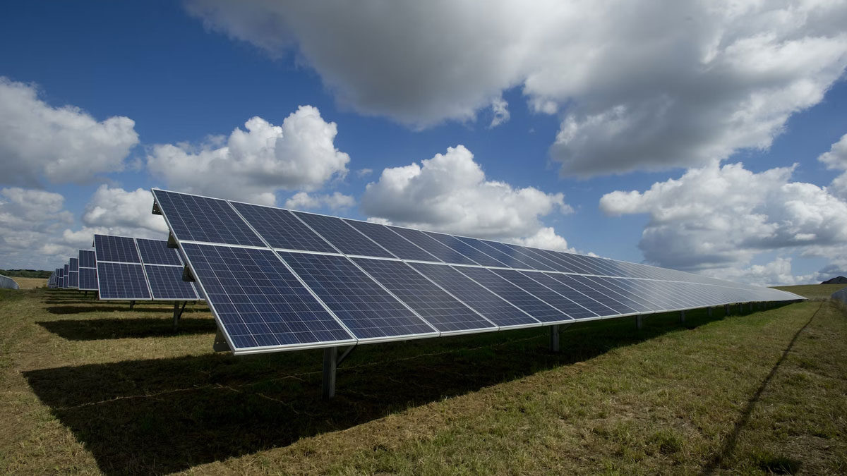 OMV Petrom va achiziționa 710 MW de parcuri fotovoltaice din România