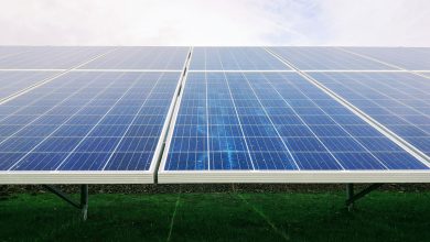 Rezolv-Energy-to-Develop-Bulgarias-Largest-Solar-Plant-Next-to-the-Romanian-Border