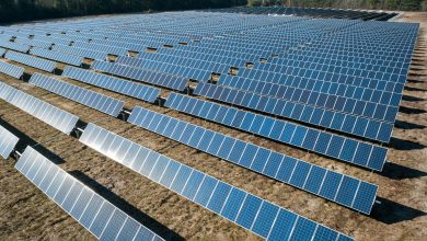 TotalEnergies-Acquires-5-Solar-Projects-in-Romania-from-PNE