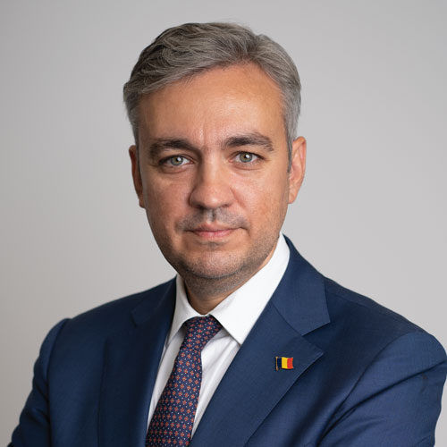 George-Niculescu
