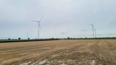 The-Wilko-wind-farm-is-located-in-the-Wielkopolska-province