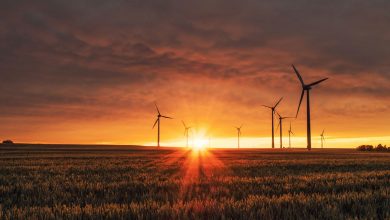 ENGIE-Acquires-80-MW-Wind-Farm-in-Constanta-County