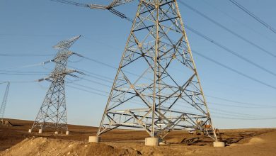 Transelectrica-Completes-Strengthening-Energy-Security-in-Dobrogea
