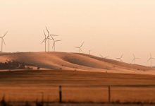 VIFOR-wind-farm