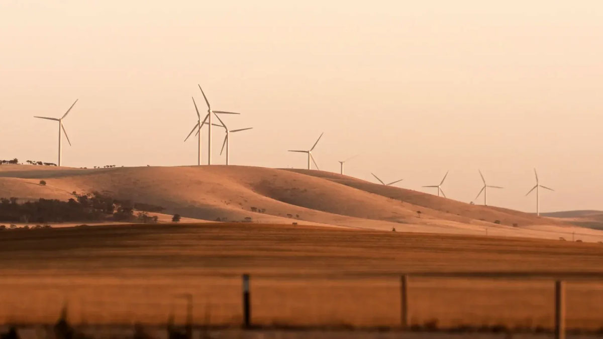 VIFOR-wind-farm