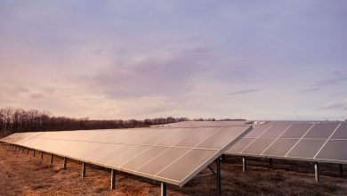 OMV-Petrom-Awards-EPCC-Contract-for-Its-First-Large-PV-Project